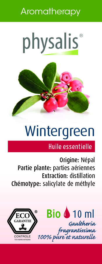 Wintergreen