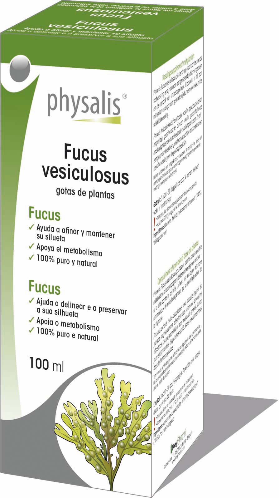 Fucus vesiculosus - Gotas de plantas