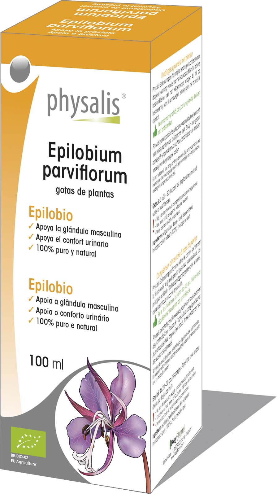 Epilobium parviflorum - Gotas de plantas