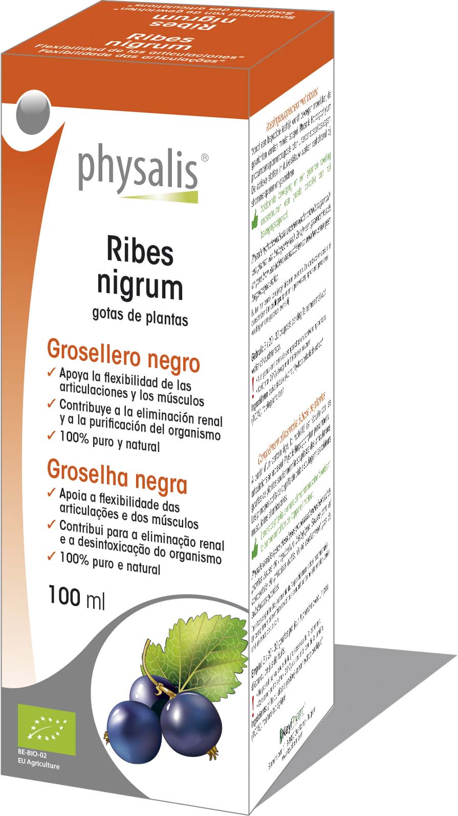 Ribes nigrum - gotas de plantas