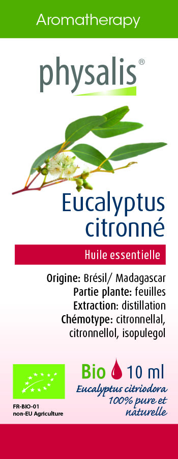 Physalis Eucalyptus citronné