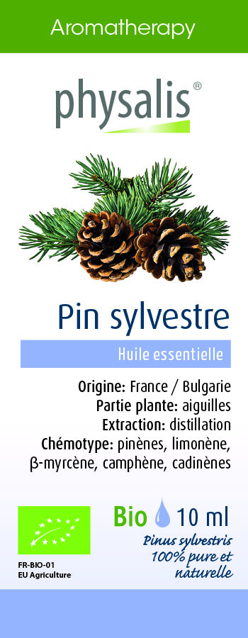 Physalis Pin sylvestre