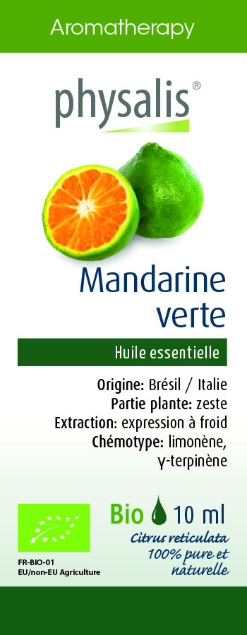 Physalis Mandarine verte