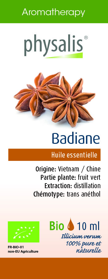 Badiane ou anis étoilé - Illicium verum - fruit (respiration