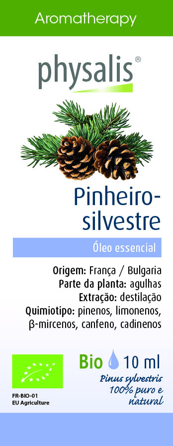 Physalis Pinheiro-silvestre