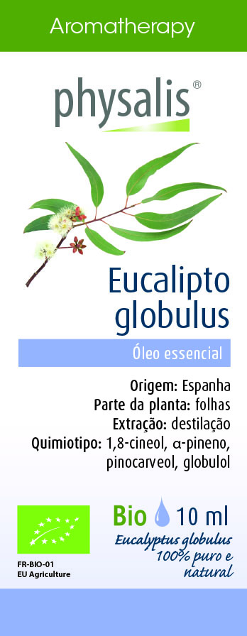 Physalis Eucalipto globulus