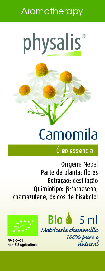 Physalis Camomila