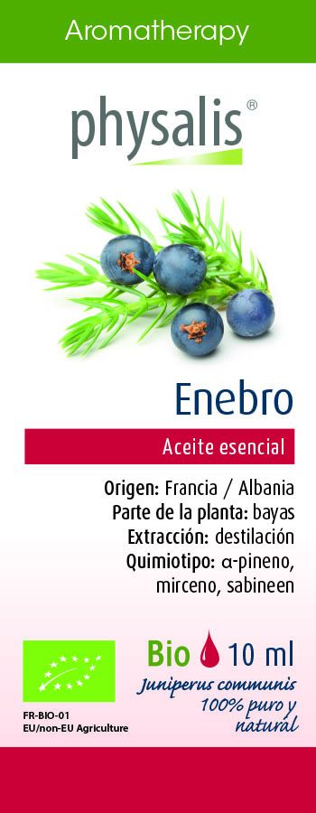 Enebro