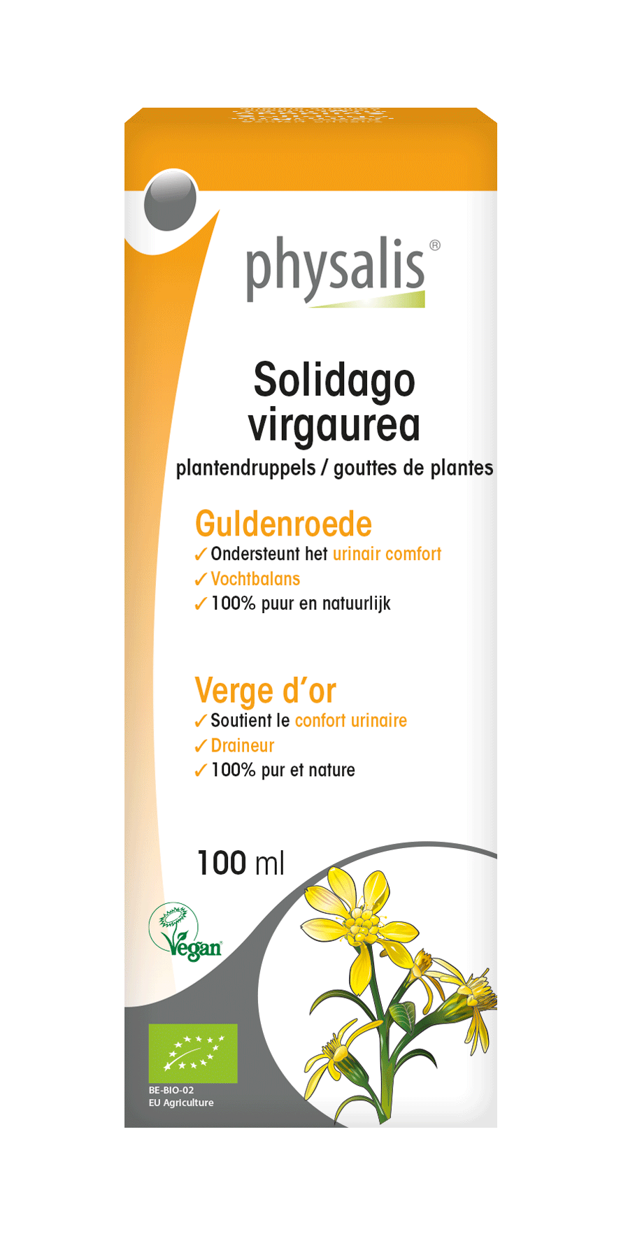Solidago virgaurea Plantendruppels