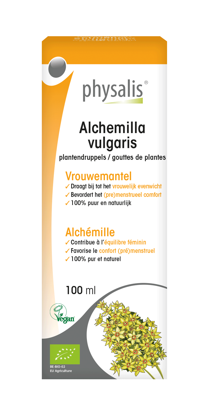 Alchemilla vulgaris Plantendruppels