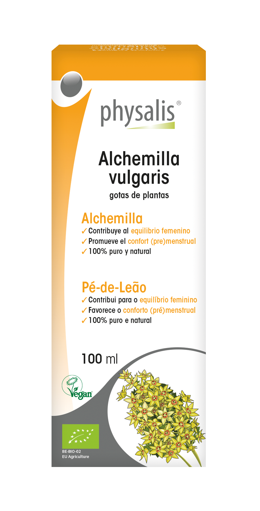 Alchemilla vulgaris Gotas de plantas