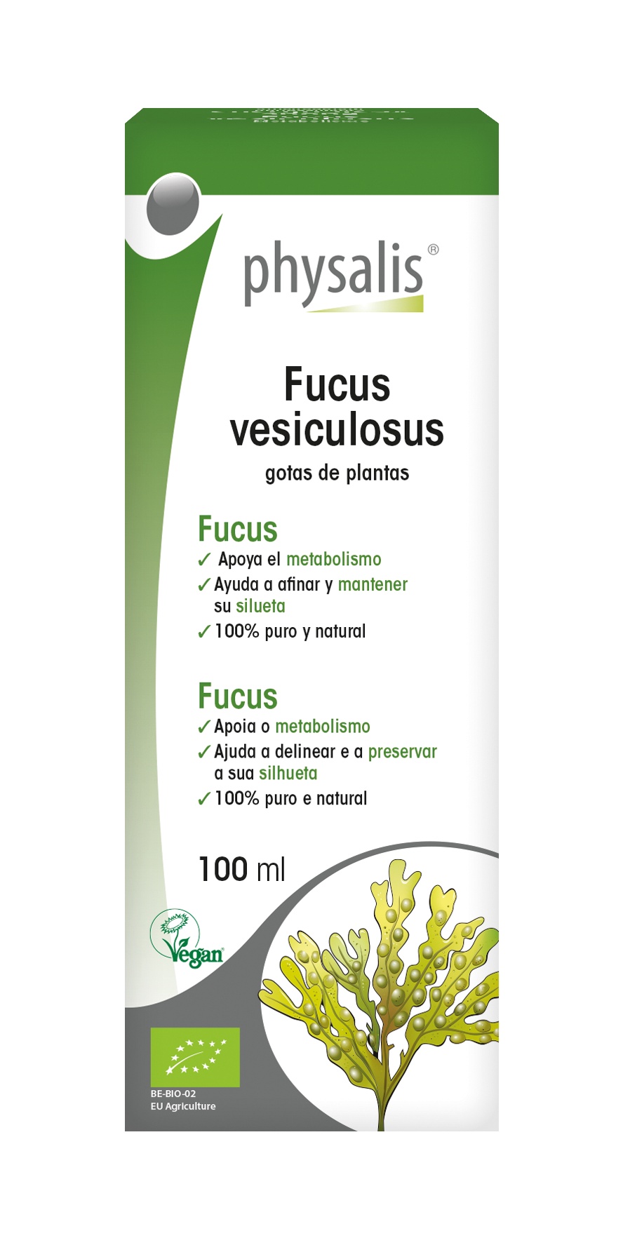 Fucus vesiculosus Gotas de plantas