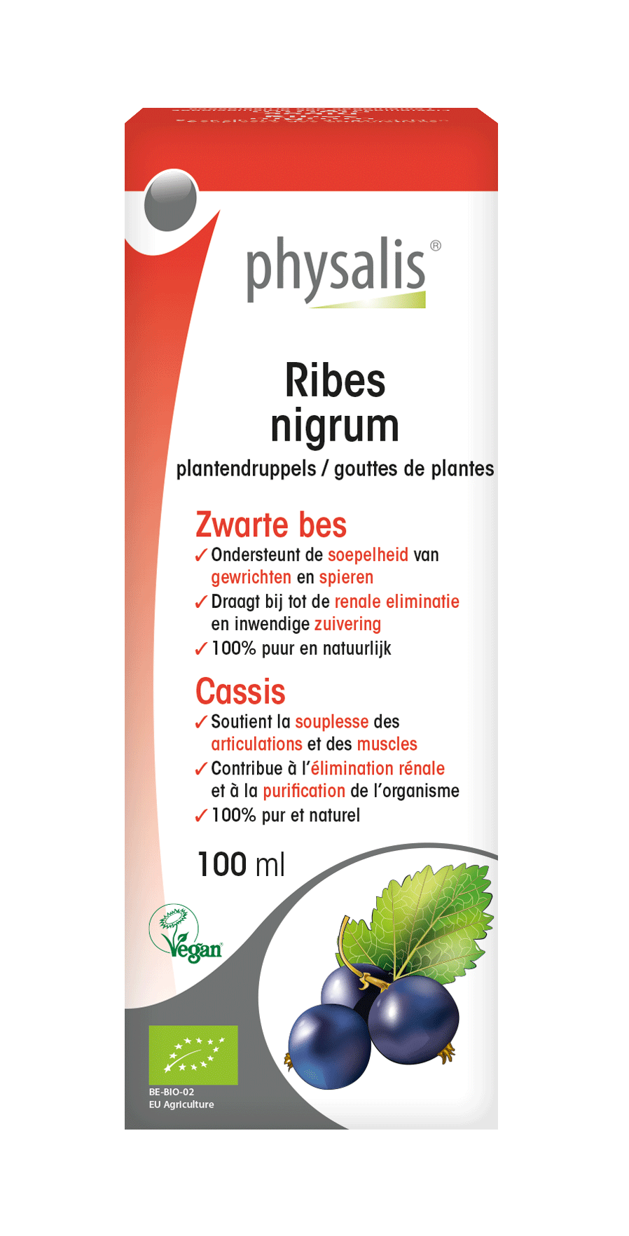 Ribes nigrum Plantendruppels